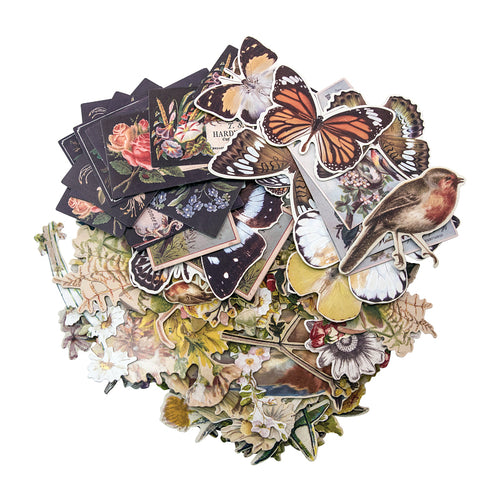 Tim Holtz - Idea-ology - Botanical Ephemera ADTH93554