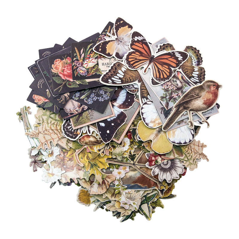 Tim Holtz - Idea-ology - Botanical Ephemera ADTH93554