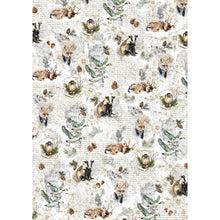 Ciao Bella - Forest Tales - Rice Paper A5 MIXED 8 PACK CBRS024