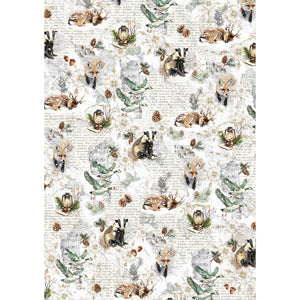 Ciao Bella - Forest Tales - Rice Paper A5 MIXED 8 PACK CBRS024