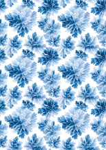 Ciao Bella - Frozen Land - Rice Paper A5 MIXED 8 PACK CBRS025
