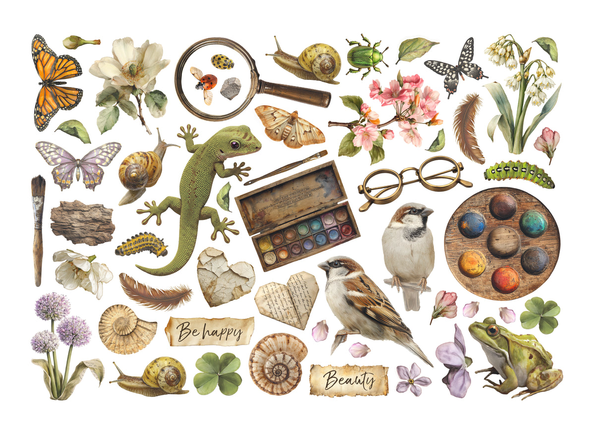 Stamperia - All Around Collection - Ephemera with Adhesive Backs – Art ...