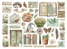 Stamperia - Herbarium Silvae Collection - Die Cuts