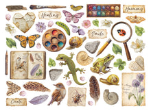 Stamperia - All Around Collection - Die Cuts