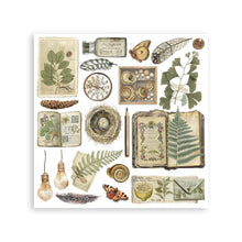 Stamperia - Herbarium Silvae Collection - Rub On Kit - Assortment - 10.16cm x 16.6cm