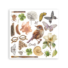 Stamperia - All Around Collection - Rub On Kit - Assortment - 10.16cm x 16.6cm