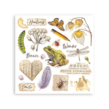 Stamperia - All Around Collection - Rub On Kit - Assortment - 10.16cm x 16.6cm