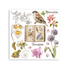 Stamperia - All Around Collection - Rub On Kit - Assortment - 10.16cm x 16.6cm