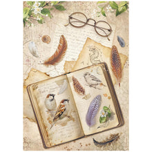 Stamperia - All Around Collection - A4 Rice Paper Pack of 6