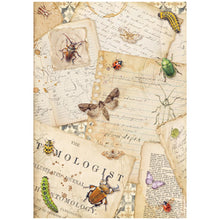 Stamperia - All Around Collection - A4 Rice Paper Pack of 6