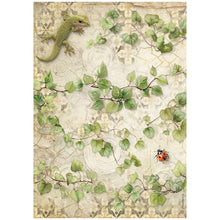 Stamperia - All Around Collection - A4 Rice Paper Pack of 6