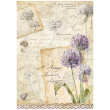 Stamperia - All Around Collection - A4 Rice Paper Pack of 6