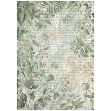Stamperia - Herbarium Silvae Collection - A4 Rice Paper Pack of 6