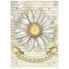 Stamperia - Daisy Art Collection - A6 Rice Paper Pack of 8