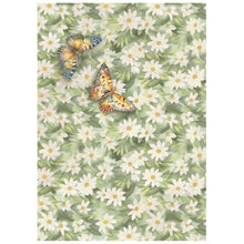 Stamperia - Daisy Art Collection - A6 Rice Paper Pack of 8