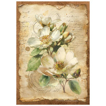 Stamperia - All Around Collection - A6 Mini Rice Paper Pack of 8