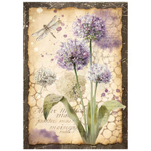 Stamperia - All Around Collection - A6 Mini Rice Paper Pack of 8