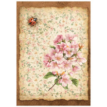 Stamperia - All Around Collection - A6 Mini Rice Paper Pack of 8