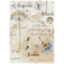 Stamperia Flowers and Poems Collection A6 Mini Rice Paper – Pack of 8