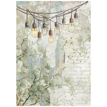 Stamperia - Herbarium Silvae Collection - Backgrounds - A6 Rice Paper Pack of 8