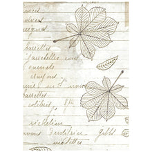 Stamperia - Herbarium Silvae Collection - Backgrounds - A6 Rice Paper Pack of 8