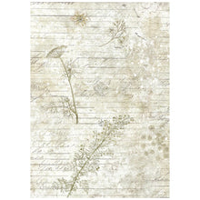 Stamperia - Herbarium Silvae Collection - Backgrounds - A6 Rice Paper Pack of 8