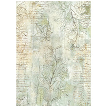 Stamperia - Herbarium Silvae Collection - Backgrounds - A6 Rice Paper Pack of 8
