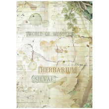 Stamperia - Herbarium Silvae Collection - Backgrounds - A6 Rice Paper Pack of 8