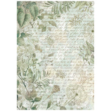 Stamperia - Herbarium Silvae Collection - Backgrounds - A6 Rice Paper Pack of 8