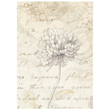 Stamperia - All Around Collection - Backgrounds - A6 Rice Paper Pack of 8