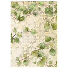 Stamperia - All Around Collection - Backgrounds - A6 Rice Paper Pack of 8