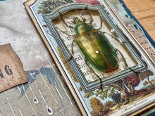 Ciao Bella - Jungle Vibes - Ephemera Book & A5 Rice Paper Bundle