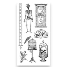 Graphic 45 – Rare Oddities Collection Bundle | Save £30