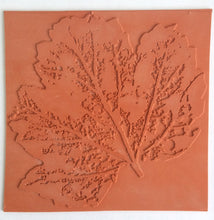 Art Inspirations Rubber Stamps - Nature Prints Collection - designs by Leonie - The Leaf 8" x 8"