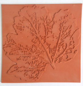 Art Inspirations Rubber Stamps - Nature Prints Collection - designs by Leonie - The Leaf 8" x 8"
