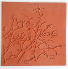 Art Inspirations Rubber Stamps - Nature Prints Collection - designs by Leonie - Looking Up - 8" x 8"