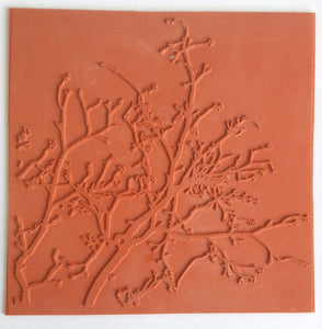 Art Inspirations Rubber Stamps - Nature Prints Collection - designs by Leonie - Looking Up - 8" x 8"