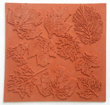 Art Inspirations Rubber Stamps - Nature Prints Collection - designs by Leonie - Leaf Fall - 8" x 8"