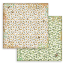 Stamperia Daisy Art Collection - 12” x 12” Pad - 10 Background Double Faced Sheets