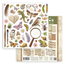 Stamperia -All Around Collection - 12” x 12” Pad - 10 Double Faced Sheets
