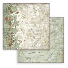 Stamperia Herbarium Silvae Collection 8” x 8” Pad - 10 Double Sided Background Selection