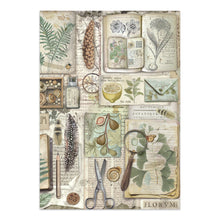 Stamperia Herbarium Silvae Collection - Junk Journal A4