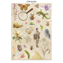 Stamperia - All Around Collection - Junk Journal A4