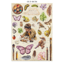 Stamperia - All Around Collection - Junk Journal A4