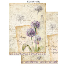 Stamperia - All Around Collection - Junk Journal A4