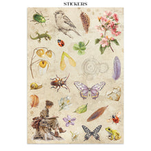Stamperia - All Around Collection - Junk Journal A4