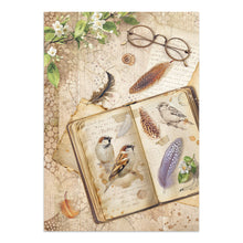 Stamperia - All Around Collection - Junk Journal A4