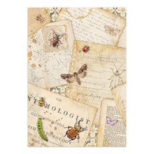 Stamperia - All Around Collection - Junk Journal A4