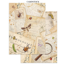 Stamperia - All Around Collection - Junk Journal A4
