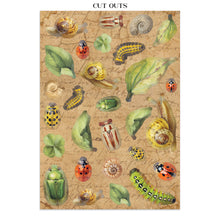 Stamperia - All Around Collection - Junk Journal Focus Points A5